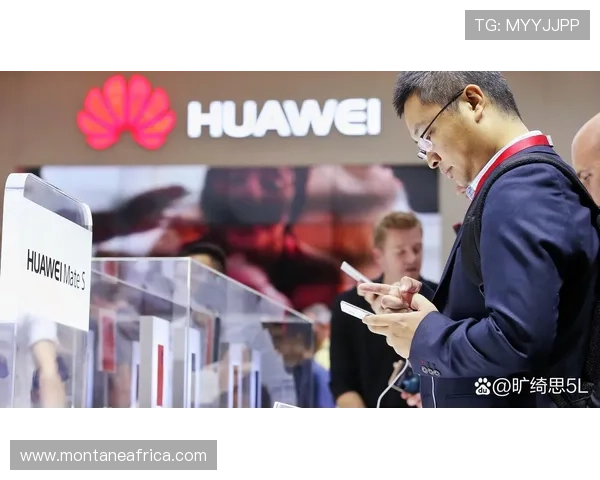 选择777w官网真人游戏的理由及其在行业中的地位